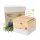 ZirbenLüfter® CUBE II mini, Luftreiniger für Räume bis 20m²
